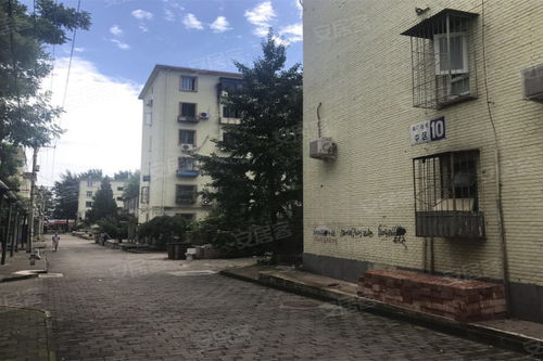 南廠住宅 中區(qū) 優(yōu)點 不足,南廠住宅 中區(qū) 怎么樣,南廠住宅 中區(qū) 周邊房產(chǎn)中介經(jīng)紀(jì)人評價