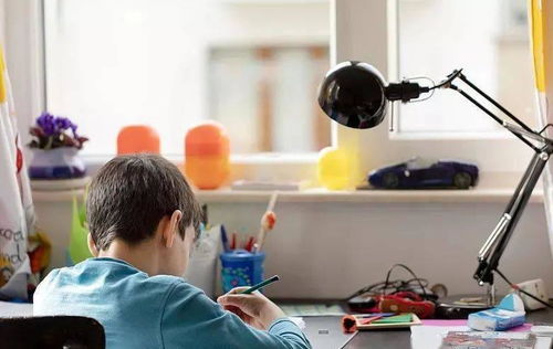 教育局發文加強教育咨詢服務，家長監督職責獲強化