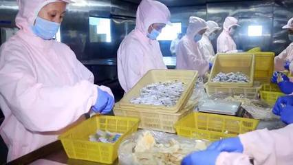 半島味道獻禮 一份滿載象山風情的海鮮禮包，獻給最珍貴的您