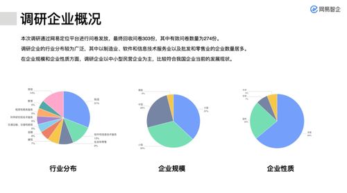 無(wú)標(biāo)題網(wǎng)絡(luò)技術(shù)服務(wù) 探索與挑戰(zhàn)
